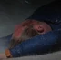 CrashVictim2-2x07.jpg