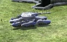 Rhinox.jpg (5 KB) Rhinox