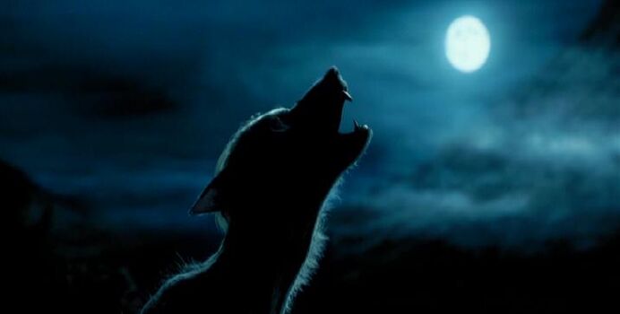 Werewolf1.jpg
