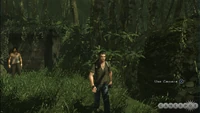 SwanForty-Two.jpg