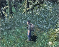 PearlEntrance.jpg