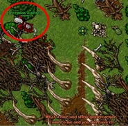 Demon oak 1