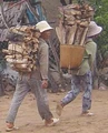 Carrywood.JPG