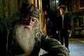 Albus and Harry.JPG