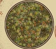 Quenchgrass.jpg