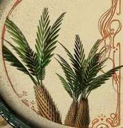 Splinterfern