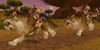 Garadar Wolf Rider