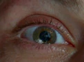 Augen