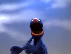 Grover.herethere