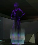 Holo