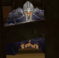 Captured Valgarde Paladin