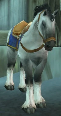 Fordragon Stallion