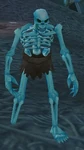 Frail Construct