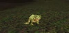 Scalawag Frog