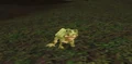 Scalawag Frog.jpg