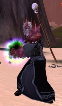 Image of Frigid Necromancer Attacker