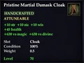 Pristine Martial Damask Cloak.jpg