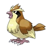 Pidgey