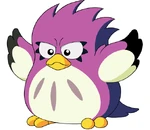 Coo1