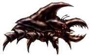 Beetle