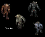 Taunkamnxsuu1