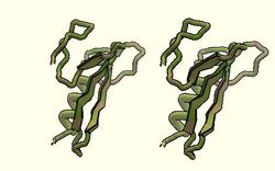 Foldit 202635