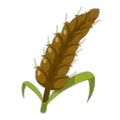 Malt