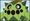 Cacnea