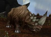 Wooly Rhino Calf