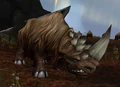Wooly Rhino Calf.jpg