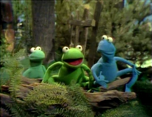 Frog Chant