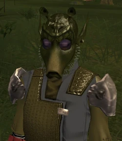 SubsaJunn