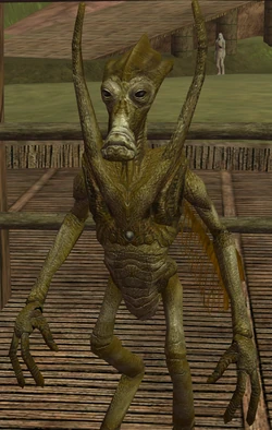 Ikvizi.png
