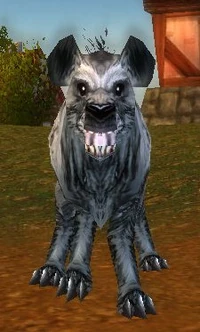 Scarlet Farm Hound