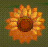 Rocketflower