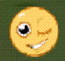 Wink