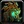 Inv mace 86