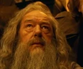 FirstwarDumbledore.JPG