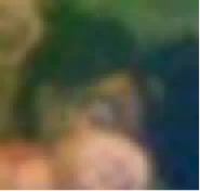 Whosthis2