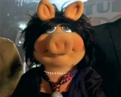 Piggy-JoanJonas