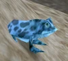 BoreanFrog