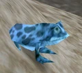 BoreanFrog.png