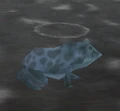 SteamFrog.png