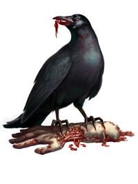 http://images4.wikia.nocookie.net/__cb20080813064951/residentevil/images/thumb/9/9a/Enemies_crow.jpg/200px-Enemies_crow.jpg