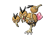 Dodrio E