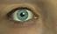 Elliot eye.jpg