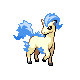 Ponyta DP variocolor