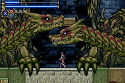 Twin zombie dragon