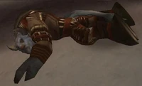 Image of Icemist Warrior