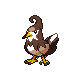 Staravia DP variocolor
